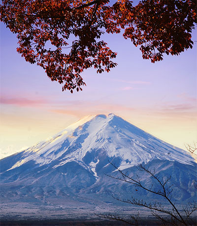 trip japan online