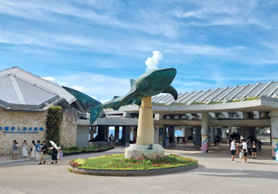 Okinawa Churaumi Aquarium Travel