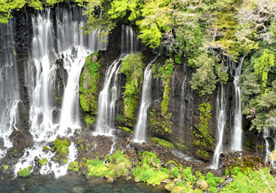 Shizuoka travel guide