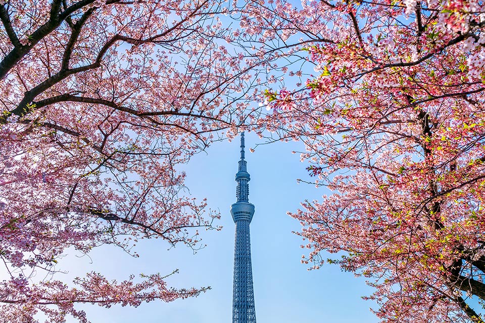 tokyo skytree