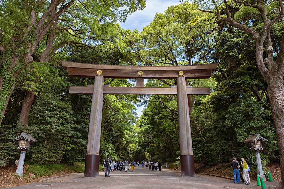 Meiji Shrine 10 แหล่งท่องเที่ยวห้ามพลาดของโตเกียว