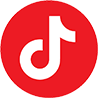 tiktok trip japan online