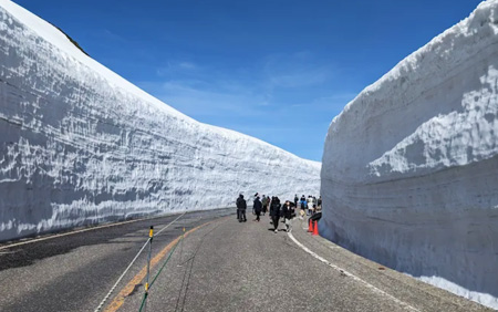 กำแพงหิมะทาเตยามะ คุโรเบะ trip japan online