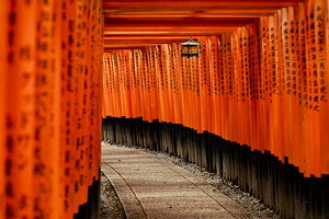 Fushimi Inari taisha travel guide trip japan online
