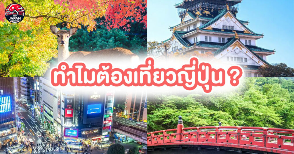 วางแผน"เที่ยวญี่ปุ่น 7 วัน 6 คืน"แบบครบครัน! สำรวจโตเกียว นิกโก้ เกียวโต นารา และโอซาก้า พร้อมเคล็ดลับการเดินทาง สถานที่แนะนำ อาหารอร่อย !!