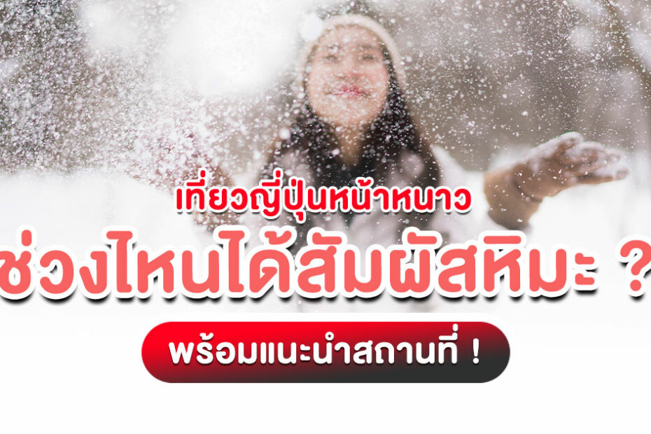 วางแผน เที่ยวญี่ปุ่นหน้าหนาว สัมผัสหิมะขาวโพลน! บทความนี้บอกหมด ช่วงไหนหิมะตก ที่ไหนน่าเที่ยว ฮอกไกโด ชิราคาวาโกะ และอีกเพียบ