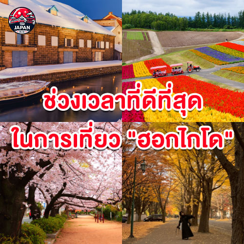 รวมที่เที่ยว ฮอกไกโด สุดฮิต ปี 2025 พร้อมแนะนำสถานที่ท่องเที่ยวหน้าหนาว วิธีเดินทาง ที่พัก และเคล็ดลับการเที่ยวแบบประหยัด ครบจบในที่เดียว