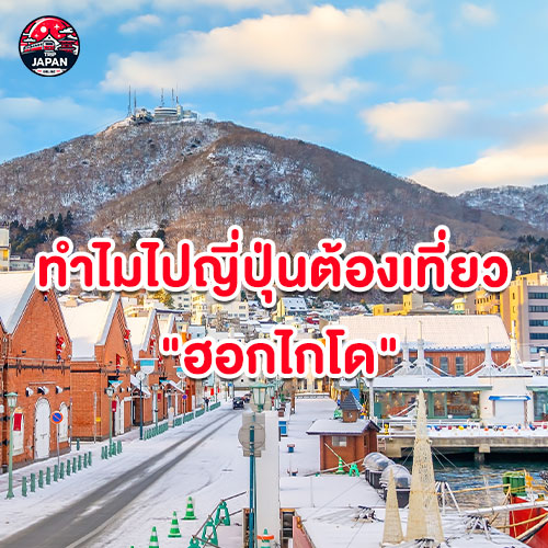 รวมที่เที่ยว ฮอกไกโด สุดฮิต ปี 2025 พร้อมแนะนำสถานที่ท่องเที่ยวหน้าหนาว วิธีเดินทาง ที่พัก และเคล็ดลับการเที่ยวแบบประหยัด ครบจบในที่เดียว