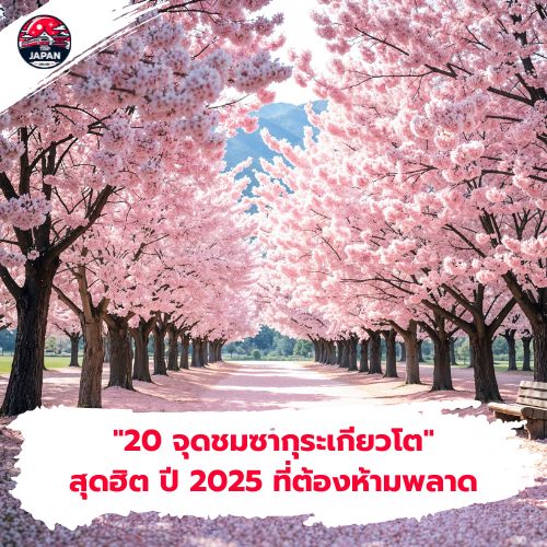 เตรียมตัวให้พร้อม พยากรณ์ จุดชมซากุระเกียวโต อัปเดตล่าสุดปี 2025 มาแล้ว! เช็คช่วงเวลาซากุระบา และจุดชมมากกว่า 20 จุดชมยอดฮิต