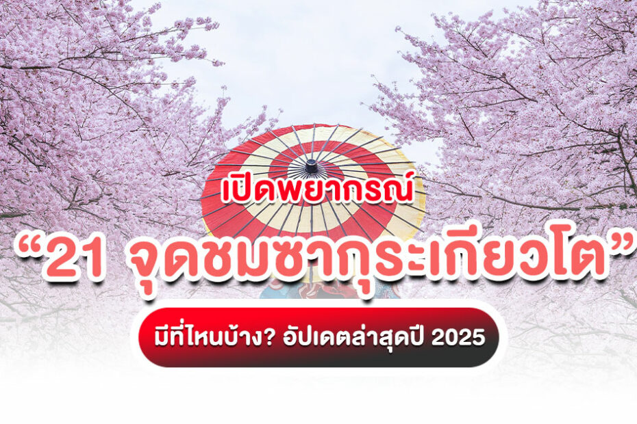 เตรียมตัวให้พร้อม พยากรณ์ จุดชมซากุระเกียวโต อัปเดตล่าสุดปี 2025 มาแล้ว! เช็คช่วงเวลาซากุระบา และจุดชมมากกว่า 20 จุดชมยอดฮิต