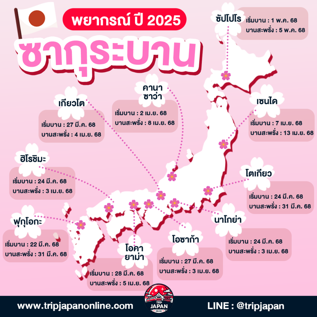 เตรียมตัวให้พร้อม พยากรณ์ จุดชมซากุระเกียวโต อัปเดตล่าสุดปี 2025 มาแล้ว! เช็คช่วงเวลาซากุระบา และจุดชมมากกว่า 20 จุดชมยอดฮิต