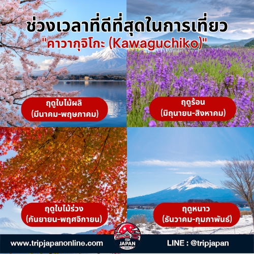 วางแผนเที่ยว คาวากุจิโกะ (Kawaguchiko) จุดชมวิวภูเขาไฟฟูจิสุดปัง