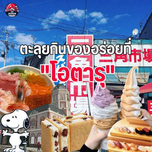 ฮอกไกโดซัมเมอร์ ปี 2025 สวรรค์ทุ่งดอกไม้บาน พร้อมแนะนำที่กินอร่อย ที่เที่ยวสวย กิจกรรมสนุกสุดฟินใน ฮอกไกโดหน้าร้อน ห้ามพลาดอัปเดตล่าสุด