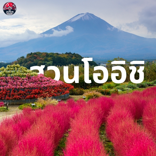 วางแผนเที่ยว คาวากุจิโกะ (Kawaguchiko) จุดชมวิวภูเขาไฟฟูจิสุดปัง