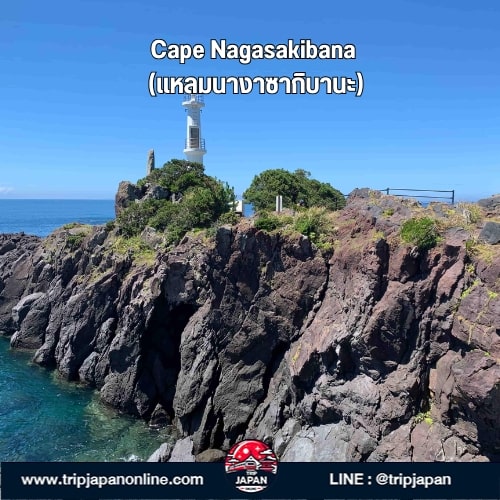 แจกแพลนเที่ยวคิวชูใต้ 5 วัน 21 พิกัดลับ Kagoshima-Miyazaki แบบไม่ซ้ำใคร ทั้งตามรอยโตโตโร่ อบซาวน่าทราย ชมภูเขาไฟซากุระจิมะ