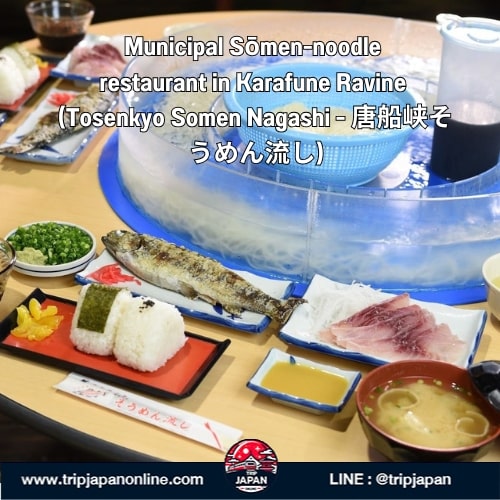แจกแพลนเที่ยวคิวชูใต้ 5 วัน 21 พิกัดลับ Kagoshima-Miyazaki แบบไม่ซ้ำใคร ทั้งตามรอยโตโตโร่ อบซาวน่าทราย ชมภูเขาไฟซากุระจิมะ
