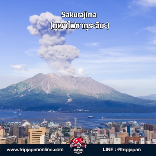 แจกแพลนเที่ยวคิวชูใต้ 5 วัน 21 พิกัดลับ Kagoshima-Miyazaki แบบไม่ซ้ำใคร ทั้งตามรอยโตโตโร่ อบซาวน่าทราย ชมภูเขาไฟซากุระจิมะ