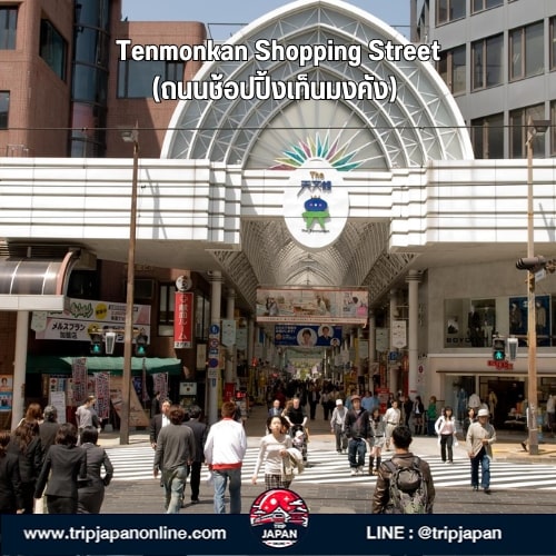 แจกแพลนเที่ยวคิวชูใต้ 5 วัน 21 พิกัดลับ Kagoshima-Miyazaki แบบไม่ซ้ำใคร ทั้งตามรอยโตโตโร่ อบซาวน่าทราย ชมภูเขาไฟซากุระจิมะ