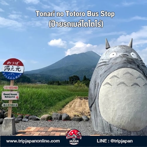 แจกแพลนเที่ยวคิวชูใต้ 5 วัน 21 พิกัดลับ Kagoshima-Miyazaki แบบไม่ซ้ำใคร ทั้งตามรอยโตโตโร่ อบซาวน่าทราย ชมภูเขาไฟซากุระจิมะ