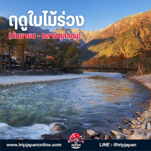 วางแผนเที่ยว คามิโคจิ ปี 2025 ด้วยตัวเอง แจกแพลนเที่ยว ครบทุกไฮไลท์ แนะนําช่วงเวลาที่ดีที่สุด วิธีเดินทาง และข้อควรรู้ก่อนไป 