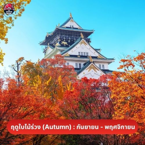เมืองโอซาก้า เมืองน่าอยู่อันดับ 7 ของโลก ทำไมถึงน่าอยู่ที่สุดในเอเชีย รีวิวที่เที่ยวโอซาก้า อัปเดตปี 2025 เที่ยวเองได้ง่าย ๆ คลิกเลย