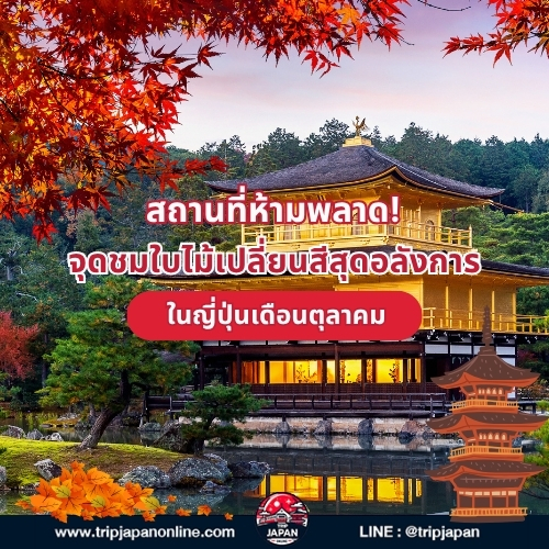 วางแผน เที่ยวญี่ปุ่นเดือนตุลาคม ปี 2025 ช่วงใบไม้เปลี่ยนสีสุดโรแมนติก สภาพอากาศ และบริการรถเช่าจาก Tripjapanonline ครบจบในที่เดียว