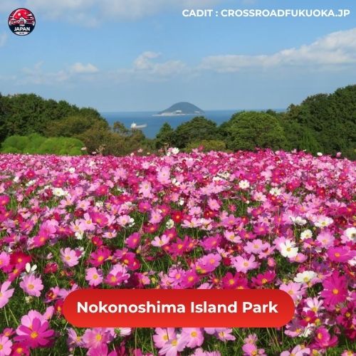 วางแผนเที่ยว ฟุกุโอกะ (fukuoka) ด้วยตัวเอง เมืองน่าอยู่ ประตูสู่คิวชู รวมที่เที่ยวเด็ด ของกินห้ามพลาด และย่านที่พักแนะนำใน Fukuoka