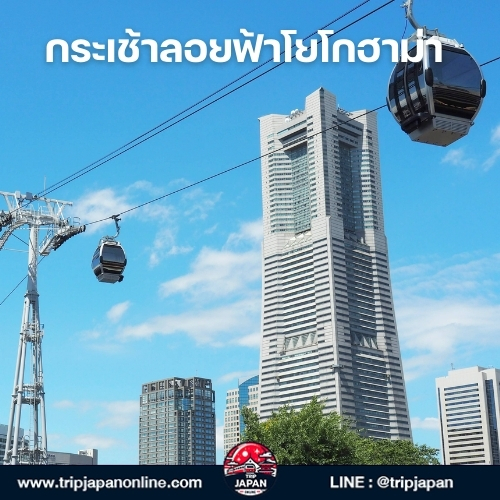 วางแผนเที่ยว โยโกฮาม่า 1 วันอยู่ใช่ไหม บทความนี้รวม 10 ที่เที่ยวเด็ดใกล้โตเกียว พร้อมแผนที่และของกินห้ามพลาด
