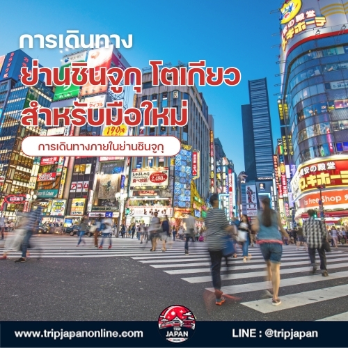 ตะลุย ย่านชินจูกุ โตเกียว อัปเดตปี 2025 แนะนำที่เที่ยว ที่พัก ที่กิน แหล่งช้อปปิ้ง พร้อมวิธีเดินทาง วางแผนเที่ยวญี่ปุ่นด้วยตัวเองต้องอ่าน
