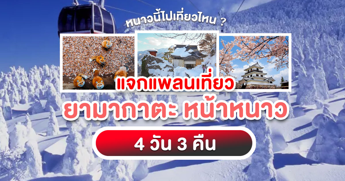 หนาวนี้ต้องไป! รวมพิกัดเที่ยว "ยามากาตะ" ช่วงหน้าหนาว ที่ห้ามพลาดทั้งปีศาจหิมะ Ginzan Onsen และการเดินทางง่าย ๆ ด้วยตัวเอง