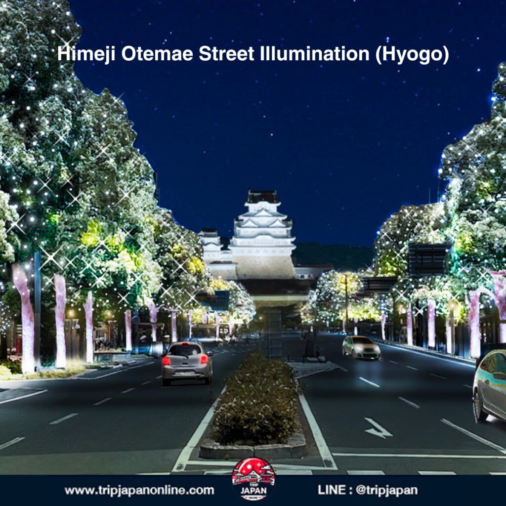  เที่ยวญี่ปุ่นช่วงคริสต์มาส ปี 2025 รวมเทศกาล แสงไฟ ตลาดคริสต์มาส และเมืองสุดโรแมนติกทั่วประเทศ พร้อมเคล็ดลับเตรียมตัวเที่ยวหน้าหนาว