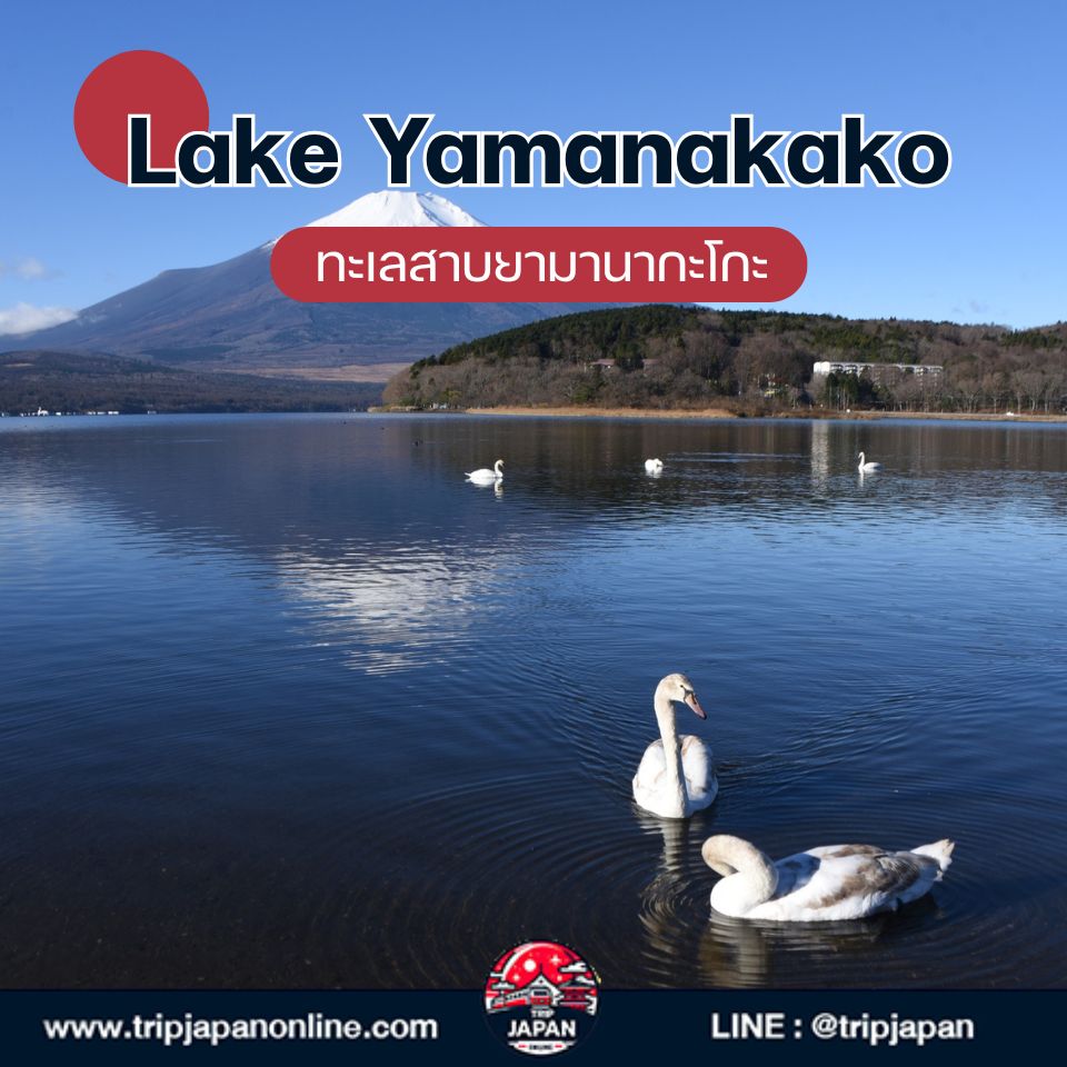 รวม 12 ที่ถ่ายรูปฟูจิซัง ยอดนิยม จุดลับตามแบบ TripJapanOnline พร้อมวิธีเดินทาง ค่าใช้จ่าย และเคล็ดลับถ่ายรูปแบบมือโปร ใช้ได้จริงในทริปปี 2025