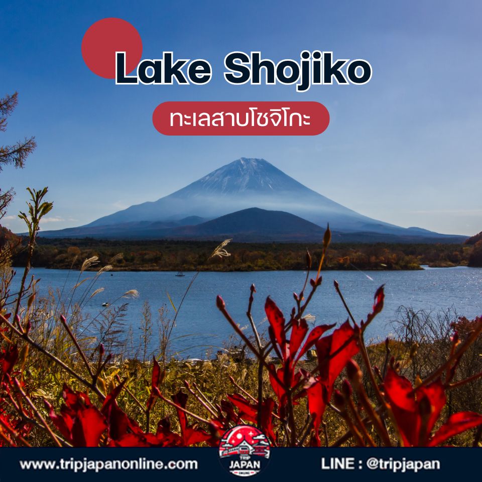 รวม 12 ที่ถ่ายรูปฟูจิซัง ยอดนิยม จุดลับตามแบบ TripJapanOnline พร้อมวิธีเดินทาง ค่าใช้จ่าย และเคล็ดลับถ่ายรูปแบบมือโปร ใช้ได้จริงในทริปปี 2025