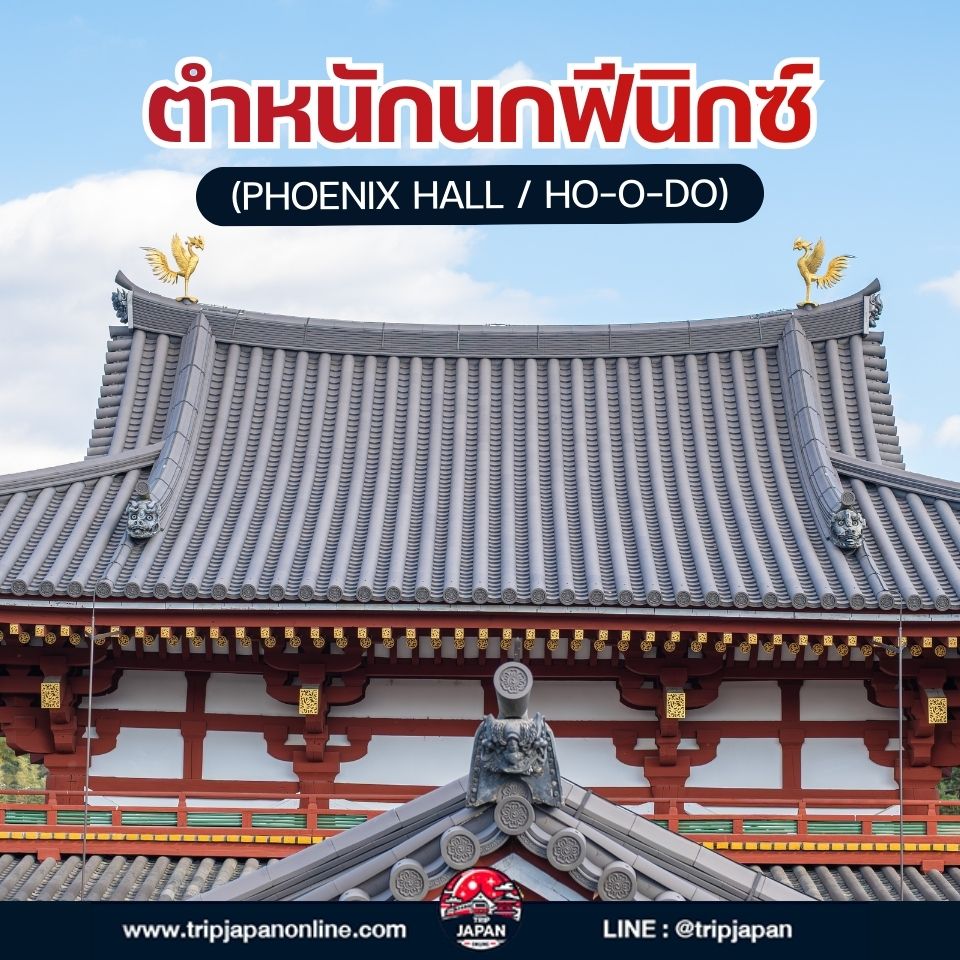 วัดเบียวโดอิน (Byodoin Temple) มรดกโลกที่อุจิ ชมตำหนักนกฟีนิกซ์ จิบชาเขียวต้นตำรับ พร้อมวิธีเดินทางและพิกัดถ่ายรูป