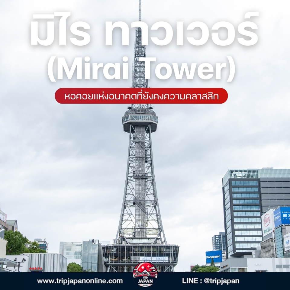 นาโกย่า เมืองหลวงแห่งไอจิ ตามรอยประวัติศาสตร์ซามูไร ชมสัญลักษณ์ชาจิโฮโกะทองคำ และเยี่ยมชม Ghibli Park พร้อมเคล็ดลับเที่ยวญี่ปุ่นด้วยตัวเอง