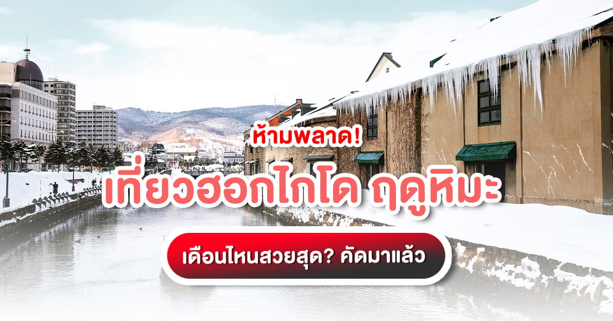 วางแผนเที่ยวฮอกไกโด ฤดูหิมะ พิกัดที่เที่ยว พิกัดลับ และเมนูเด็ด