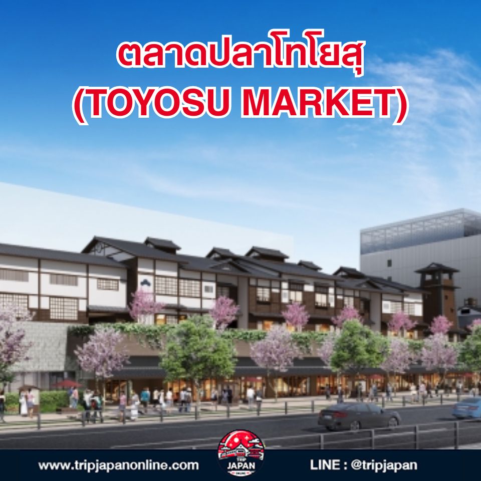 แจกแพลน เที่ยวโอไดบะ ด้วยตัวเอง ปี 2026! รวมครบทุกแลนด์มาร์กฮิต ตลาดปลา teamLab พร้อมวิธีเดินทางง่ายสุด ๆ ฉบับอัปเดตล่าสุด