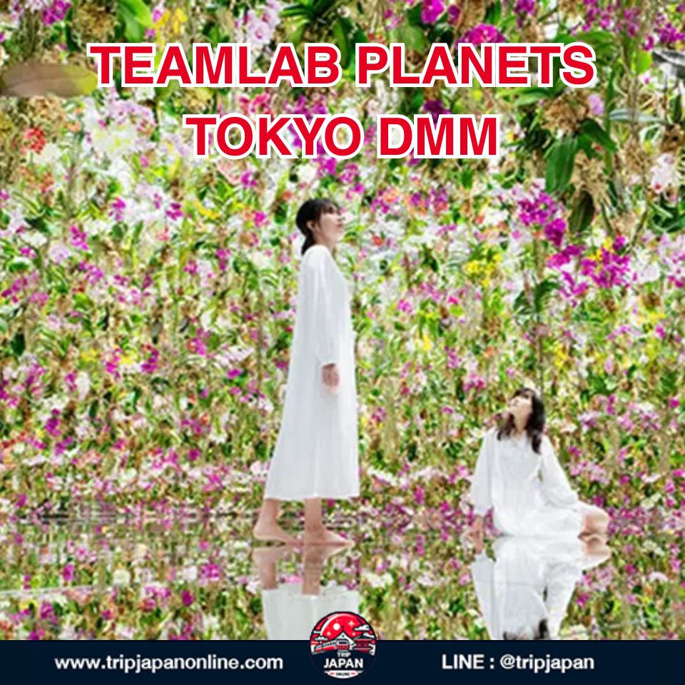 แจกแพลนเที่ยวโอไดบะ ด้วยตัวเอง ปี 2026! รวมครบทุกแลนด์มาร์กฮิต ตลาดปลา teamLab พร้อมวิธีเดินทางง่ายสุด ๆ ฉบับอัปเดตล่าสุด