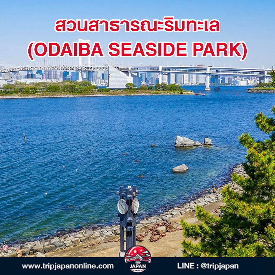 แจกแพลนเที่ยวโอไดบะ ด้วยตัวเอง ปี 2026! รวมครบทุกแลนด์มาร์กฮิต ตลาดปลา teamLab พร้อมวิธีเดินทางง่ายสุด ๆ ฉบับอัปเดตล่าสุด