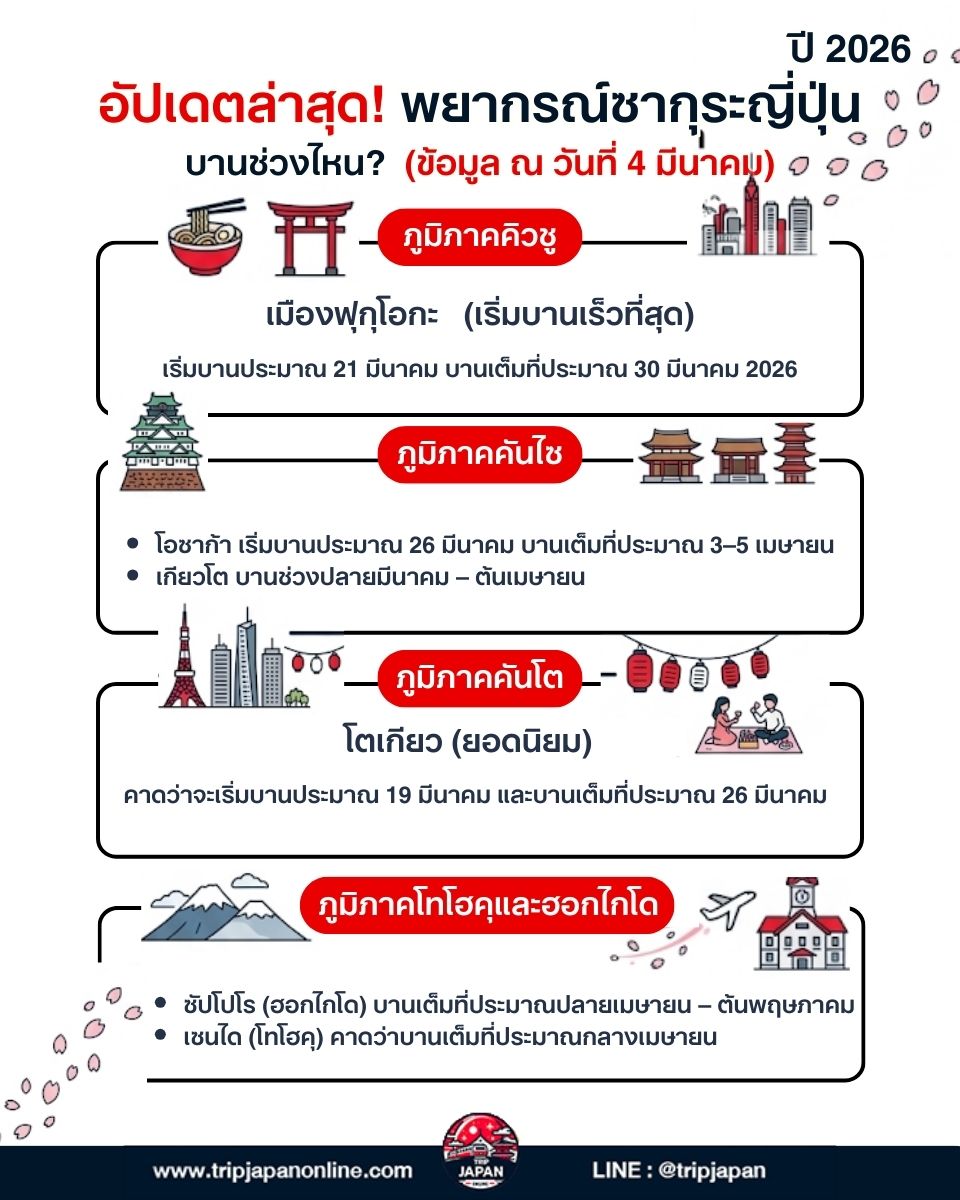 พยากรณ์ซากุระญี่ปุ่น ปี 2026 อัปเดต มี.ค คาดว่าจะบาน 20 มี.ค นี้ สรุปครบจบสำหรับคนเที่ยวเอง เช็กก่อนจองตั๋วและที่พัก