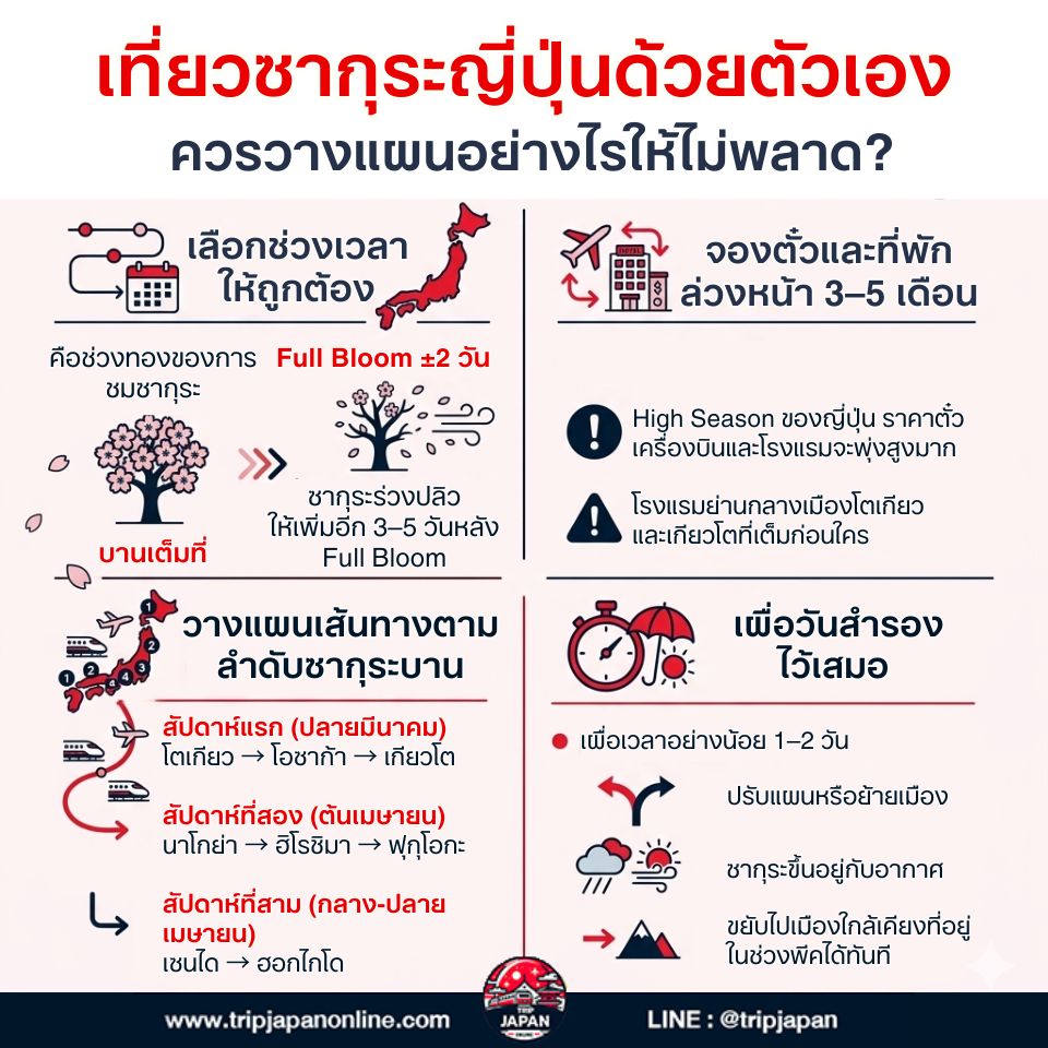 พยากรณ์ซากุระญี่ปุ่น สรุปครบจบสำหรับคนเที่ยวเอง เช็กก่อนจองตั๋วและที่พัก