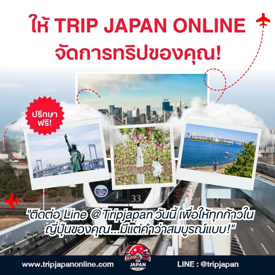 แจกแพลน เที่ยวโอไดบะ ด้วยตัวเอง ปี 2026! รวมครบทุกแลนด์มาร์กฮิต ตลาดปลา teamLab พร้อมวิธีเดินทางง่ายสุด ๆ ฉบับอัปเดตล่าสุด