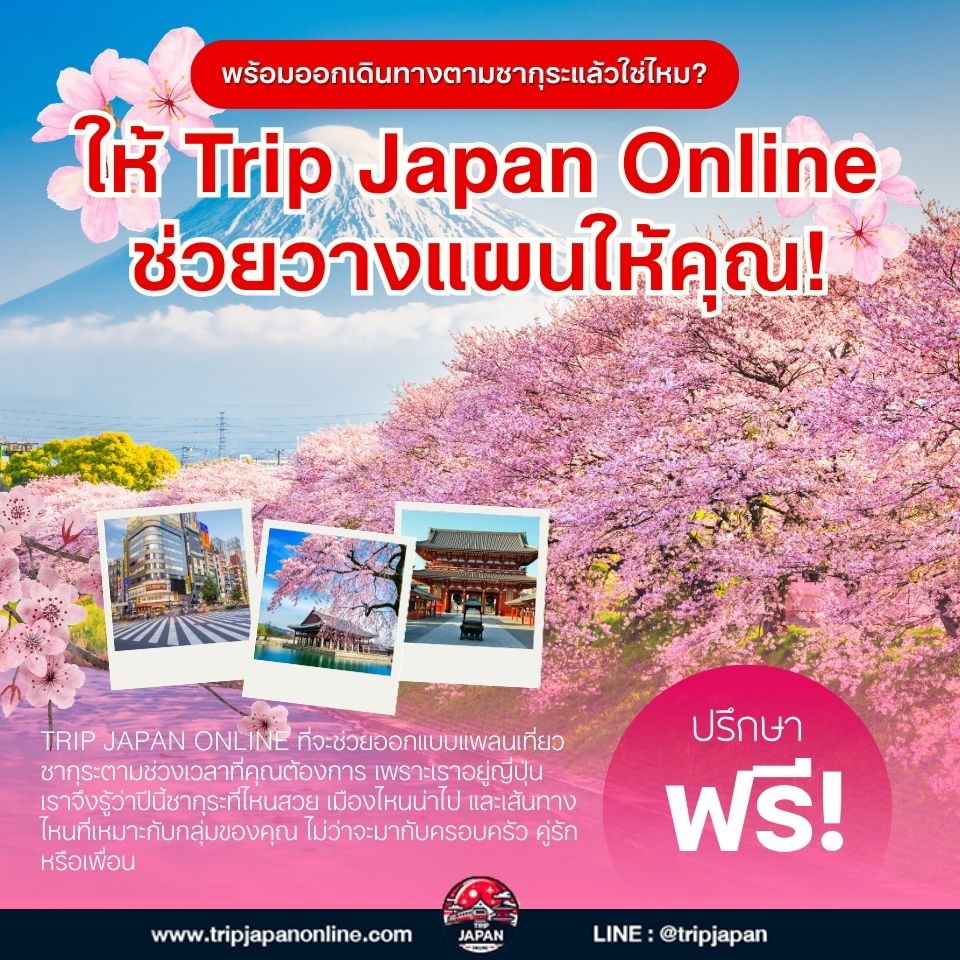 พยากรณ์ซากุระญี่ปุ่น ปี 2026 อัปเดต มี.ค คาดว่าจะบาน 20 มี.ค นี้ สรุปครบจบสำหรับคนเที่ยวเอง เช็กก่อนจองตั๋วและที่พัก