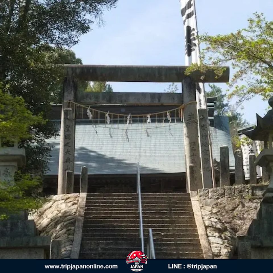โตเกียว โอซาก้า เกียวโต สามเมืองนี้สวยมาก แต่ถ้าคุณอยากเจอ ญี่ปุ่นที่รู้สึกเหมือนค้นพบด้วยตัวเอง ปี 2026 นี้คือปีที่ดีที่สุดสำหรับการ เที่ยวญี่ปุ่นเมืองรอง อย่างจริงจัง