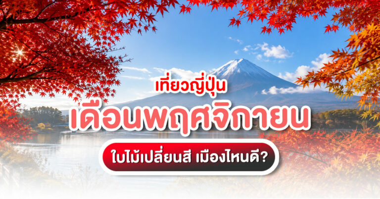 เที่ยวญี่ปุ่นเดือนพฤศจิกายน สำหรับชมใบไม้เปลี่ยนสี เลือกเมืองไหนดี? เหมาะกับมือใหม่ ครอบครัว คู่รัก และสายถ่ายรูป