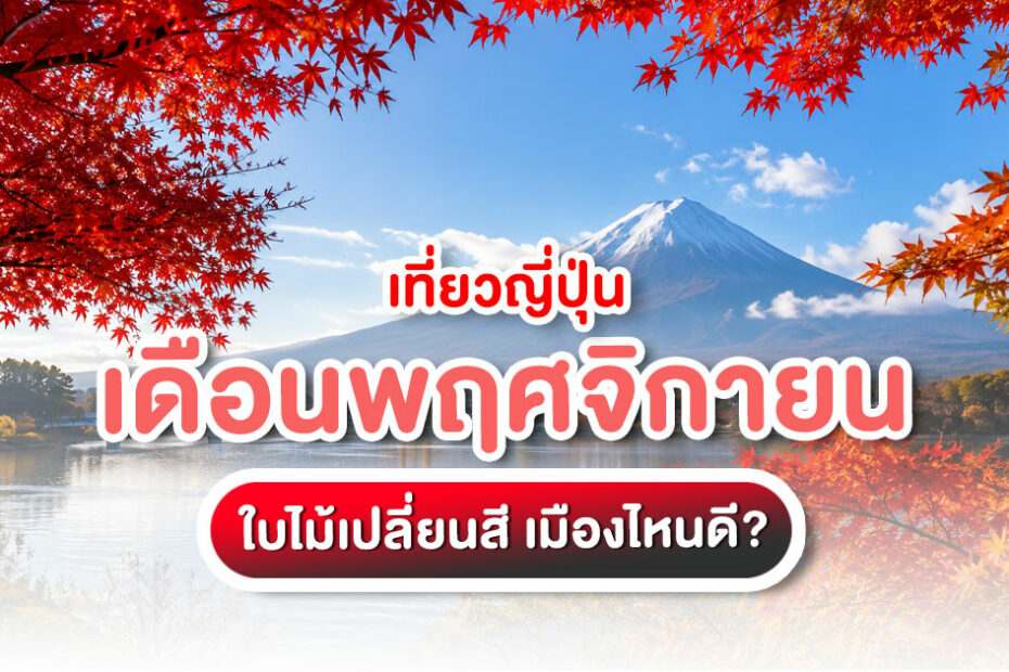 เที่ยวญี่ปุ่นเดือนพฤศจิกายน สำหรับชมใบไม้เปลี่ยนสี เลือกเมืองไหนดี? เหมาะกับมือใหม่ ครอบครัว คู่รัก และสายถ่ายรูป