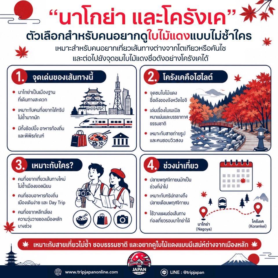 เที่ยวญี่ปุ่นเดือนพฤศจิกายน สำหรับชมใบไม้เปลี่ยนสี เลือกเมืองไหนดี? เหมาะกับมือใหม่ ครอบครัว คู่รัก และสายถ่ายรูป
