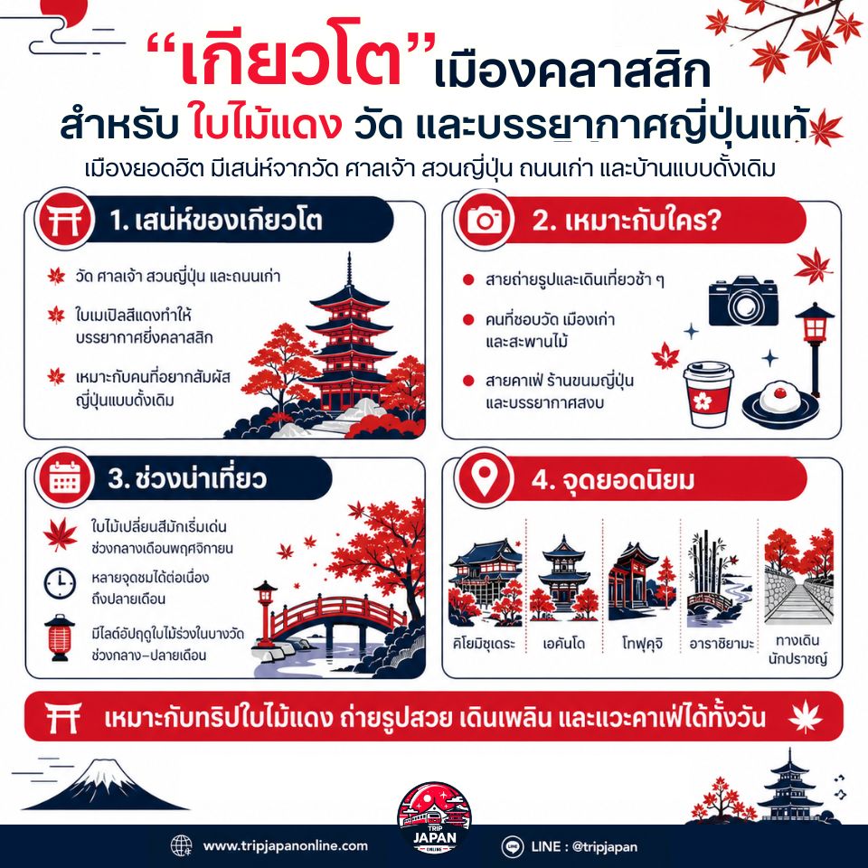 เที่ยวญี่ปุ่นเดือนพฤศจิกายน สำหรับชมใบไม้เปลี่ยนสี เลือกเมืองไหนดี? เหมาะกับมือใหม่ ครอบครัว คู่รัก และสายถ่ายรูป