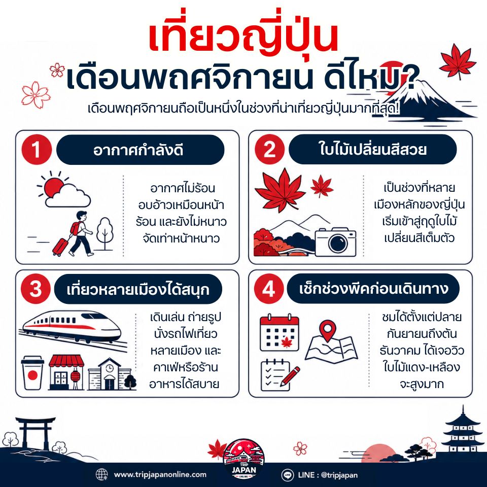เที่ยวญี่ปุ่นเดือนพฤศจิกายน สำหรับชมใบไม้เปลี่ยนสี เลือกเมืองไหนดี? เหมาะกับมือใหม่ ครอบครัว คู่รัก และสายถ่ายรูป