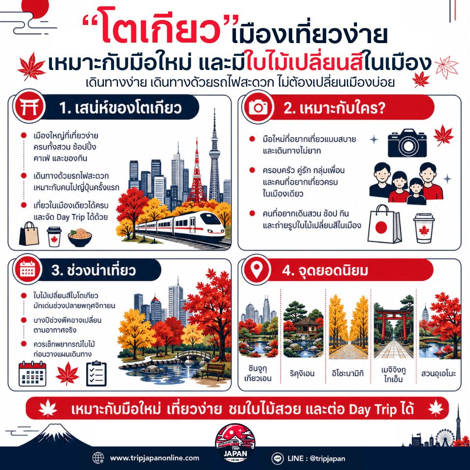 เที่ยวญี่ปุ่นเดือนพฤศจิกายนสำหรับชมใบไม้เปลี่ยนสี เลือกเมืองไหนดี? เหมาะกับมือใหม่ ครอบครัว คู่รัก และสายถ่ายรูป